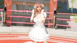 ꡼ No.009 | DEAD OR ALIVE 6סDLC2ơ֥ϥåԡǥ󥰥塼vol.2פۿ򳫻