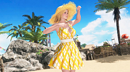 ꡼ No.015 | DEAD OR ALIVE 6סDLCĬ褰ޡԡפۿȡѥ2˴ޤޤ饯Ѱ