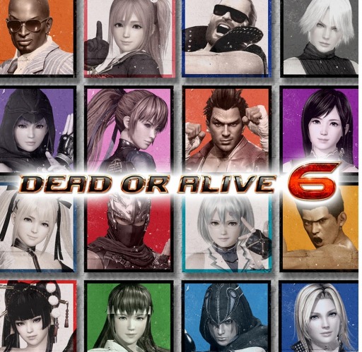 ꡼ No.001 | DEAD OR ALIVE 6ס̵åץǡȡִդ拾塼פۿ