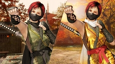 画像ギャラリー No.010のサムネイル画像 / 「DEAD OR ALIVE 6」,「NINJA GAIDEN」15周年を記念し,9月19日に追加キャラクターとして「紅葉」が参戦決定
