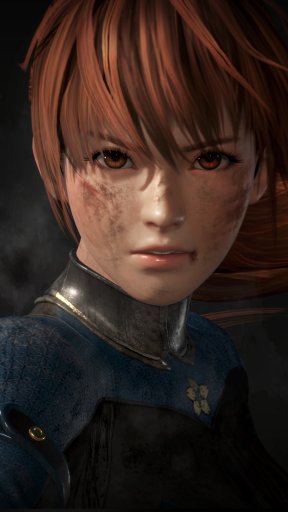 DEAD OR ALIVE 6פθȤץ󡣥饯Υץե䡤ॷƥΰü餫