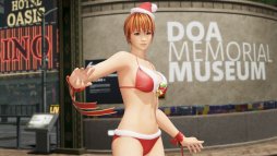 ꡼ No.008 | DOA6סɲå֥쥤פɲå֥󥿤ӥˡפۿ