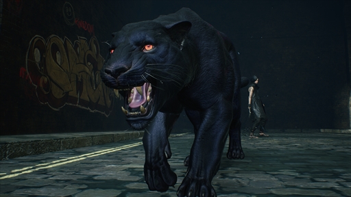 ꡼ No.005Υͥ / ֥ǥӥ ᥤ 饤 5׺ǿӥɥץ쥤ݡȡ3ˡVʥ֥ˡɤ3Τä򤷤ƥ臘ϥ˥塼ҡ