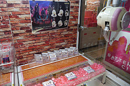 ���������꡼ No.015�Υ���ͥ������ / �������ä��������줿�֥ǥӥ� �ᥤ ���饤5��ȯ�䵭ǰ���٥�ȥ�ݡ��ȡ��ߤ�ʤǳڤ���ֹ����ʶ��֡פ��뤿��˥������ȯ����