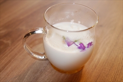 ꡼ No.029 | ץ󥫥եDMC5ץܤ722˥ȡƤιʪԥʤɤ줿ݡȤϤ