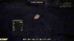  No.002Υͥ / Fallout 76פΦ¥ƥȤݡȡ饤ѤΥȥɤǤϡȲƿ褬VaultｻԤԤäƤ