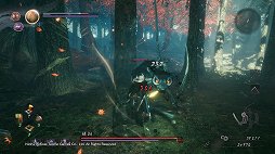 ꡼ No.041 | ֿβ2ץӥ塼εŲϤǡ٤ΥХȥȴ