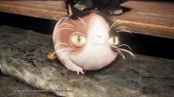 ꡼ No.051 | ֿβ2ץӥ塼εŲϤǡ٤ΥХȥȴ