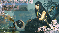 ���������꡼ No.005�Υ���ͥ������ / �ֿβ�2��DLC��1�ơֵ����ﵭ�פ�7��30������ۿ��ء�ʿ�»�����������ʿ�����Τ����äƤ�����������������