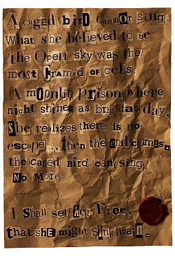 ꡼ No.002 | THE QUIET MANפκǿϡ˥塼衼Υ֤ǵν