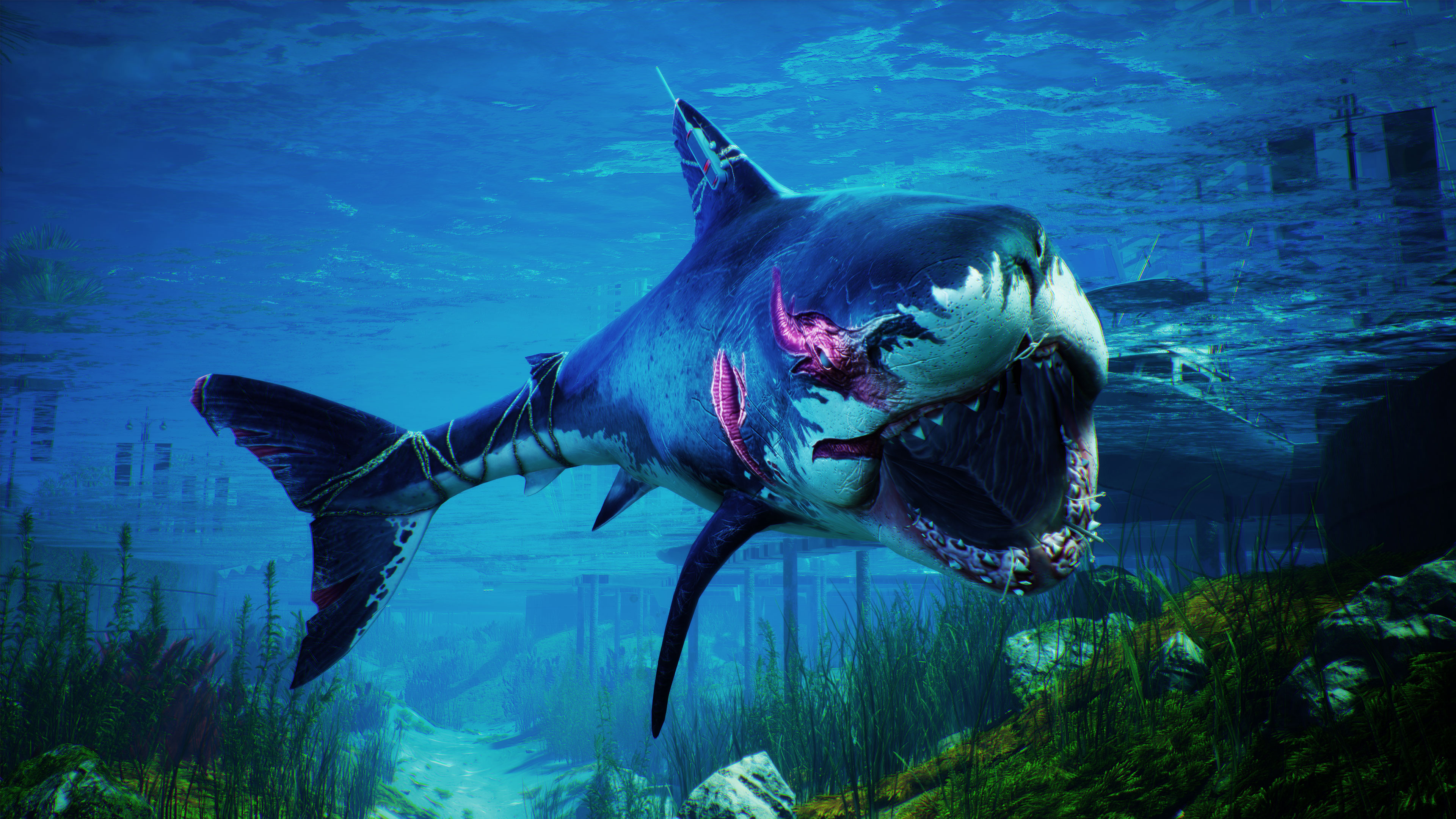 サメが主人公のrpg Maneater を5月22日の発売前に体験 海を汚す人間共に復讐せよ