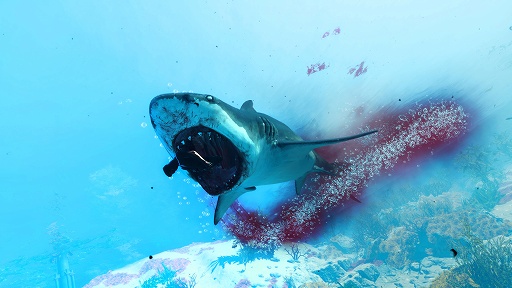 画像集#004のサムネイル/サメが主人公のRPG「Maneater」を5月22日の発売前に体験。海を汚す人間共に復讐せよ！