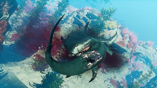 画像集#015のサムネイル/サメが主人公のRPG「Maneater」を5月22日の発売前に体験。海を汚す人間共に復讐せよ！