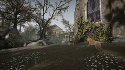 ꡼ No.011Υͥ / D&#233;racin&#233;ʥǥ饷͡ˡפΥȥ쥤顼󥲡ॷȶ˥ߥƥꥢܺѤҲ