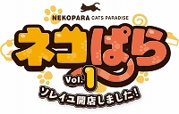 ꡼ No.001Υͥ / PS4ǡ֥ͥѤVol.1 쥤泫ŹޤפۿϡƤҲ𤹤Ȥ