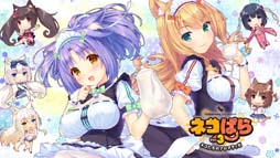 ꡼ No.004 | ֥ͥѤ饷꡼פʤɿ͵ȥ뤬85%աCFK SPECIAL SALEɳ