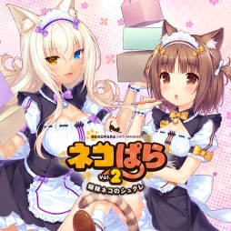 ꡼ No.002 | Nintendo Switchǡ֥ͥѤ3ʤָ40OFF