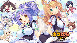 ꡼ No.004 | ֥ͥѤץ꡼ʤɤ80󥪥դˡCFK˥ƥɡeåפSteamǥ»