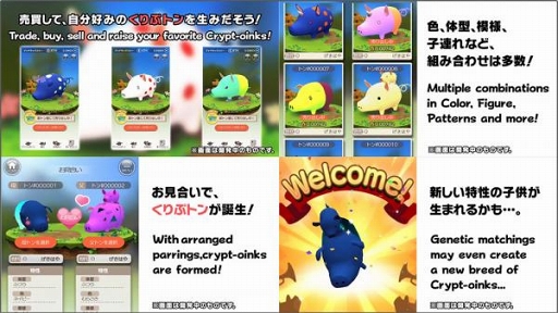 ꡼ No.003 | դʪߥ졼֤ڡס֥饦ǤAndroidǤ꡼