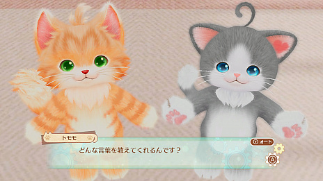 ꡼ No.005Υͥ / ֥ͥȥפοβä򷫤֤ơͥãȤä²ˤʤäƤ