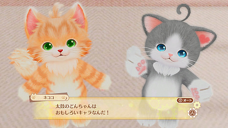 ꡼ No.013Υͥ / ֥ͥȥפοβä򷫤֤ơͥãȤä²ˤʤäƤ