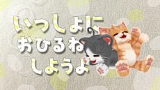 ꡼ No.022Υͥ / ֥ͥȥפοβä򷫤֤ơͥãȤä²ˤʤäƤ