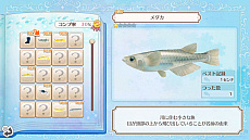 ꡼ No.035 | ֥ͥȥפκǿ٤ꤹͥãȤγڤ餷֥ͥפΤ٤