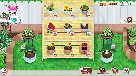 ꡼ No.037 | ֥ͥȥפκǿ٤ꤹͥãȤγڤ餷֥ͥפΤ٤