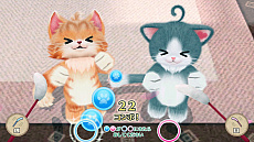 ꡼ No.052 | ֥ͥȥפκǿ٤ꤹͥãȤγڤ餷֥ͥפΤ٤