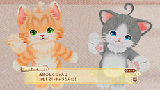 ���������꡼ No.005�Υ���ͥ������ / Nintendo Switch�ǡ֥ͥ����ȥ�ס�����ȯ�䡣ȯ�䵭ǰ�Τ������Ȥи����������ݤ�ã�͡פȤΥ���ܤ���������