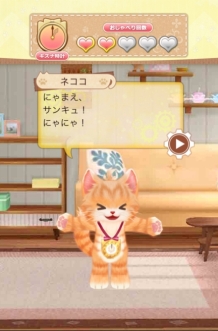 ꡼ No.003 | ֥ͥȥפΥ֥饦θǤץ쥤̤ʰΤȤФ