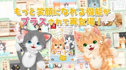 ꡼ No.007 | ֥ͥȥפ˥åץǡȤäѥå֥ͥȥ ޥޤޤפ1119ȯ