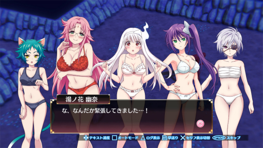 ꡼ No.001 | ֤餮ͩव 򤱤µܡס֥ץե2019׳Ťǰ塼̵ۿ