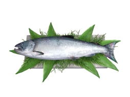 ���������꡼ No.004�Υ���ͥ������ / ��StarHorse3�פΥ��ڥ���륢���ƥब������륭���ڡ�����2�ơ�5��23�����鳫��