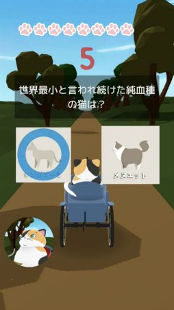 ���������꡼ No.005�Υ���ͥ������ / �ڤ������䤽��ǭ�μ������ޥ۸����������������ǭ��õ��ͥ��ॺ�פ�Ҳ𤹤�֡ʤۤܡ��������ޥۥ������̿�����1774��