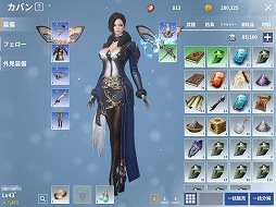 ꡼ No.009 | PR۵䶦ƮǤʤԤǽ300ʾΡȥեɤȰǤMMORPG֥MפϿ