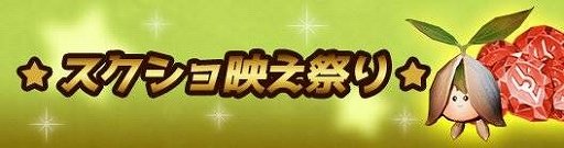 ꡼ No.010Υͥ / ֥Mס֥åե饤ǡ٥Ȥ