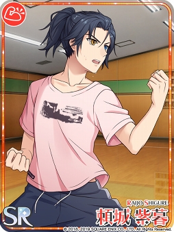 ���������꡼ No.010�Υ���ͥ������ / �֥��ɥ���ɥҡ��������ס��ȿ�SSR �׿����͡ɴޤ���ָ���ο������ɤ��о�