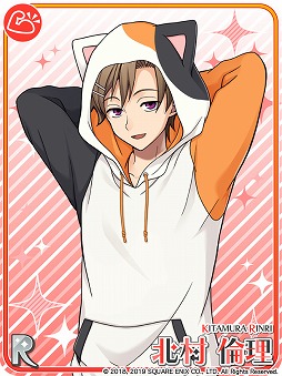 ꡼ No.003 | ֥ɥɥҡסӥȾǯǰڡ3Ƥ򳫺