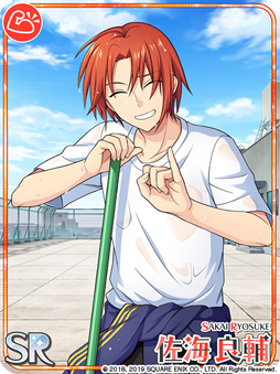 ꡼ No.008 | ֥ɥɥҡסָꥫɡֿSSR ɡפʤɤо