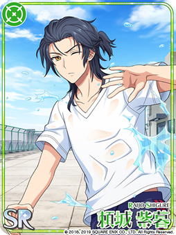 ꡼ No.009 | ֥ɥɥҡסָꥫɡֿSSR ɡפʤɤо