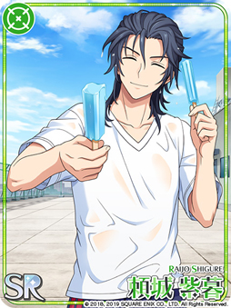 ꡼ No.010 | ֥ɥɥҡסָꥫɡֿSSR ɡפʤɤо