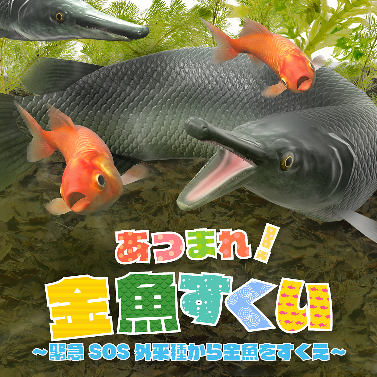 あつまれ 金魚すくい 緊急sos外来種から金魚をすくえ Nintendo Switch 4gamer