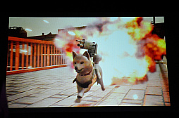 ꡼ No.041 | 󻰻᤬ʥꥪݤRoot FilmפȯɽiRisοϪʤɤԤ줿ֳॹ紶պ2019ץݡ