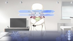 ꡼ No.004 | ֥꡼աסץ˥󥰥ࡼӡȤǸ