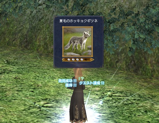 ꡼ No.013 | ҳ Online Lost Memories Seven WondersפǤμԻ׵ĤĩࡣƤˤĤƥץǥ塼ȥǥ쥯ʹ