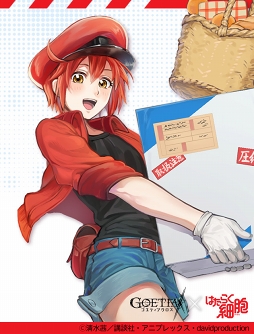 ���������꡼ No.002�Υ���ͥ������ / �֥����ƥ����������ס�TV���˥�֤Ϥ��餯��˦�ץ���ܤ�8���ܤ�곫��