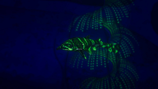 ꡼ No.007 | gamescomE-Line MediaοBeyond Blueפϡ̤쥷ʳǳδĶˤĤƹͤ볤Υɥ٥㡼