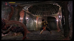 ꡼ No.016 | ޥǡֵԡפΥץ쥤ץåϤȶΥХå괶ɤϻۤƤߡ