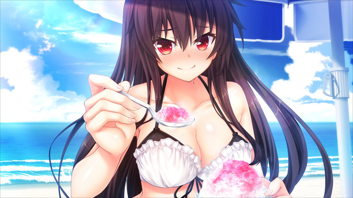 画像集 008 Switch版 ノラと皇女と野良猫ハート2 新規描き下ろしイベントcgを一部公開